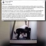 中国男子在泰国公寓暴走持刀捅人-免费彩金-白嫖彩金网-博彩特邀网