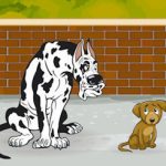 扑克秘诀 大小是问题-免费彩金-白嫖彩金网-博彩特邀网