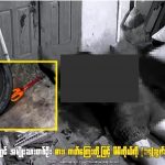 缅甸一男子接连捅自己14刀，自杀身亡-免费彩金-白嫖彩金网-博彩特邀网